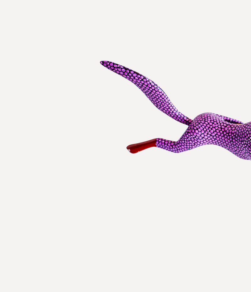 shop-img-6-gallery-1 r