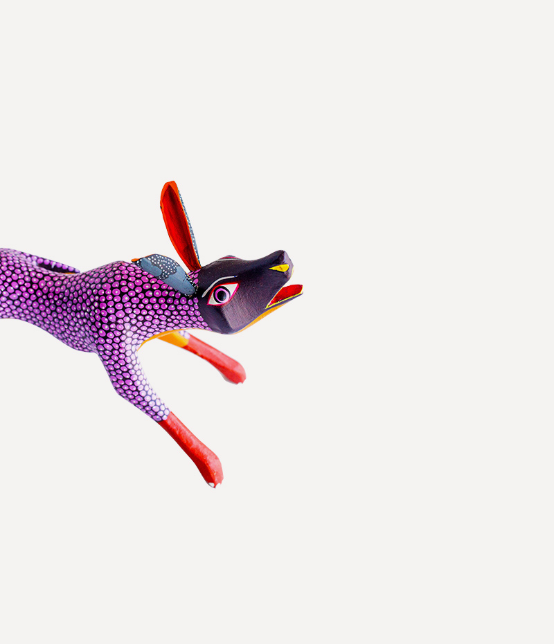 shop-img-6-gallery-2 t