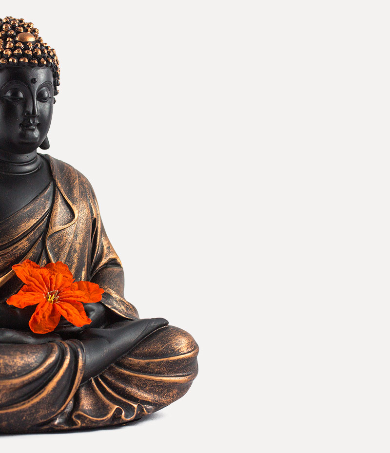 shop-img-9-gallery-2 s