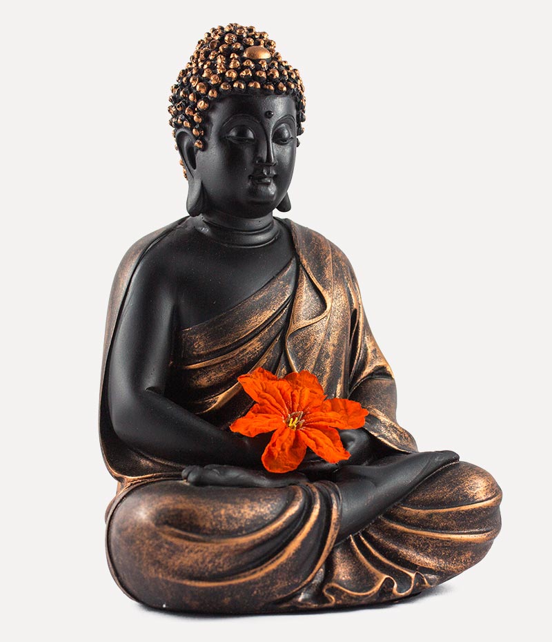 shop-img-9-gallery-3 d